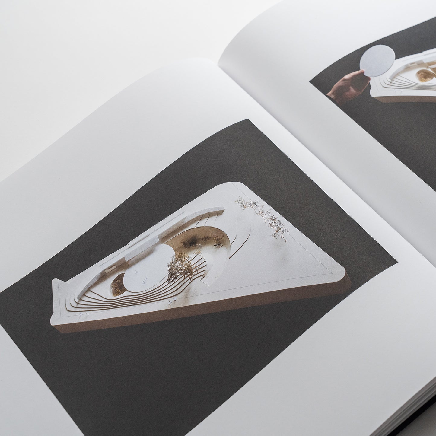 Calder Gardens: Drawings and Texts by Jacques Herzog